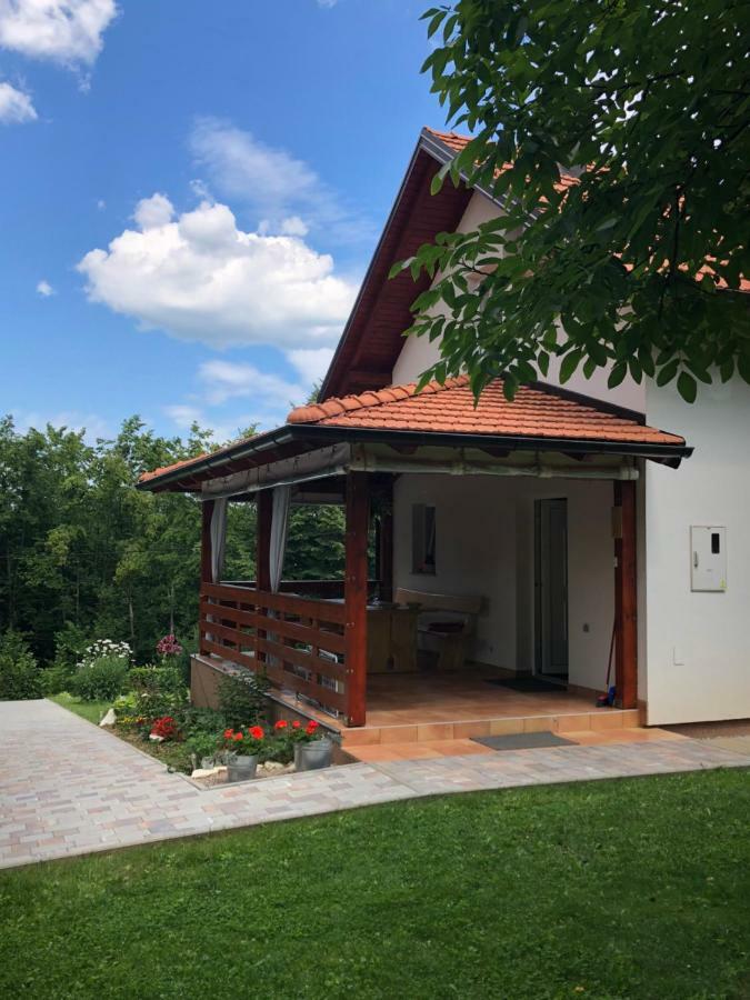 D.I.M. Holiday House Seliste Dreznicko Exterior photo